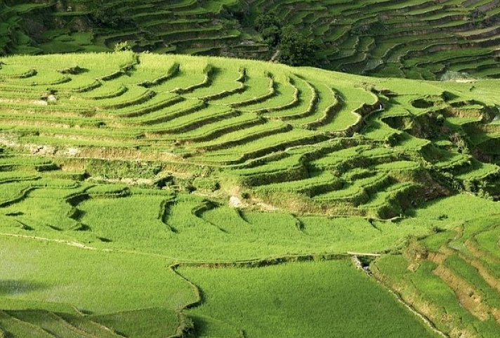 Madagaskar Highlights