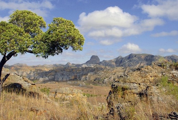 Madagaskar Highlights