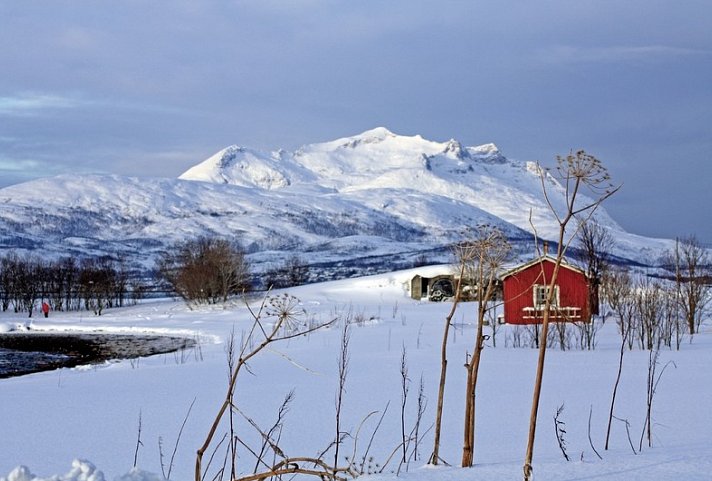 Wintererlebnis an Lapplands Eismeerküste