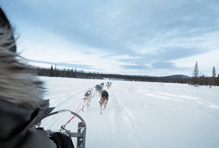 Weihnachten und Silvester in der Arctic Panorama Lodge