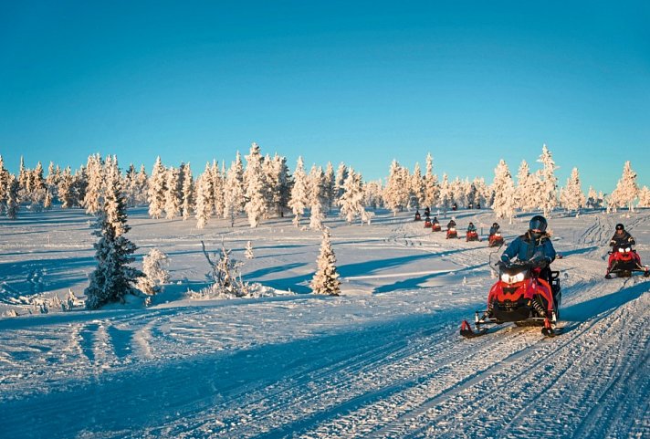Arktische Kontraste - Von Tromsø nach Lappland