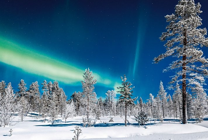 Arktische Kontraste - Von Tromsø nach Lappland