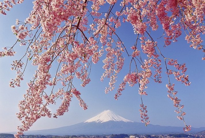 Zauberhaftes Japan (nur Landprogramm)