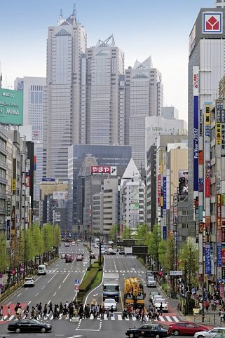 Japan für Liebhaber (nur Landprogramm)