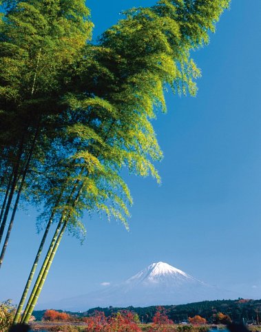 Japan für Liebhaber (nur Landprogramm)