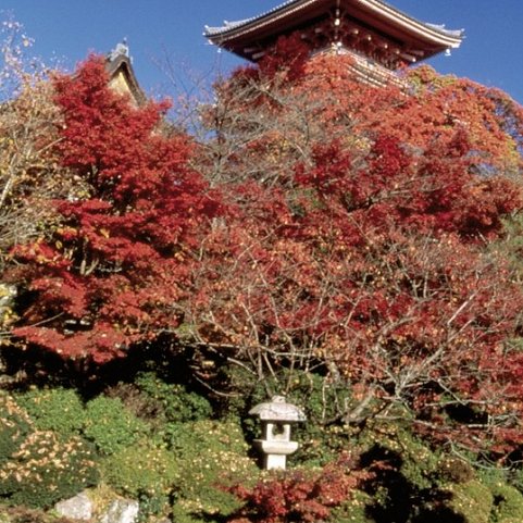 Japan zum Kennenlernen (nur Landprogramm)
