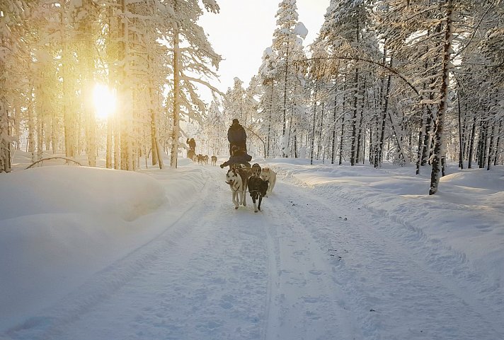 Gold of Lapland