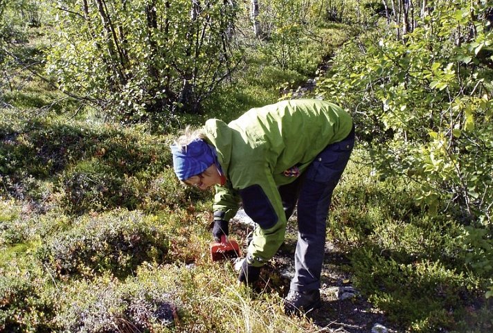 Erlebniswoche in Schwedisch Lappland