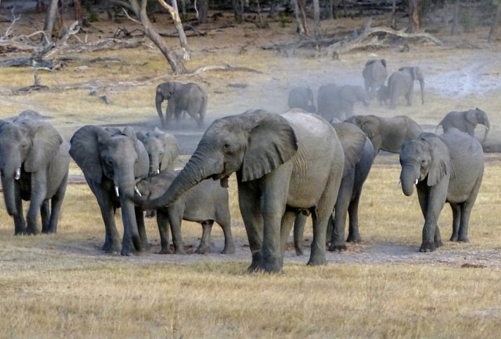 Abenteuer Hwange Nationalpark