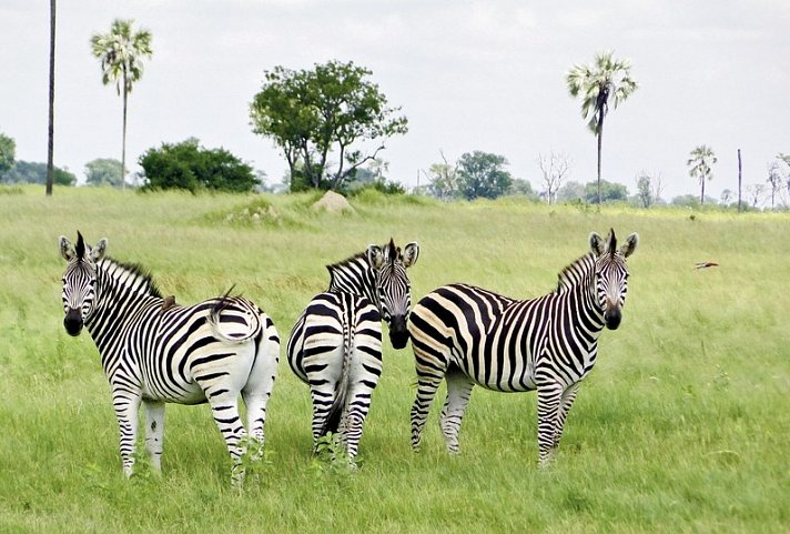 Abenteuer Hwange Nationalpark