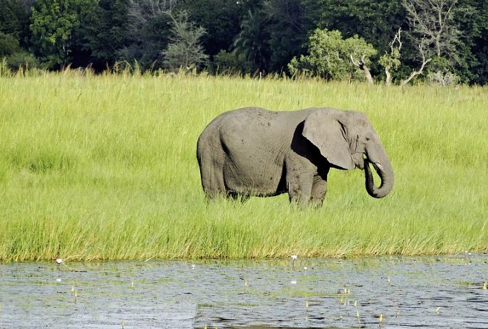 Botswana Kaleidoskop ab Victoria Falls