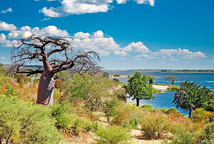 Wasser, Wüste, wilde Tiere - unterwegs von Victoria Falls nach Windhoek