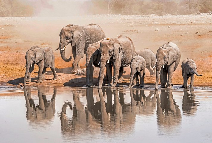 Wasser, Wüste, wilde Tiere - unterwegs von Victoria Falls nach Windhoek