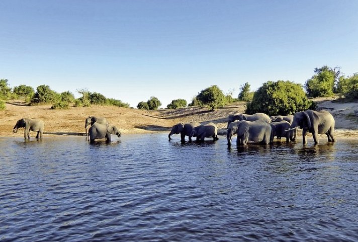 Wasser, Wüste, wilde Tiere - unterwegs von Victoria Falls nach Windhoek