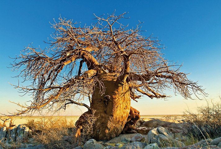 Botswana, Simbabwe, Namibia – 