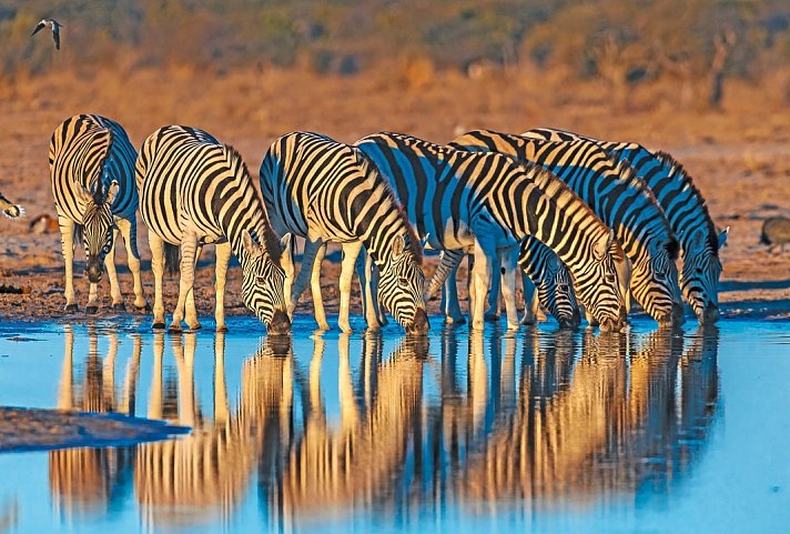 Discover Namibia