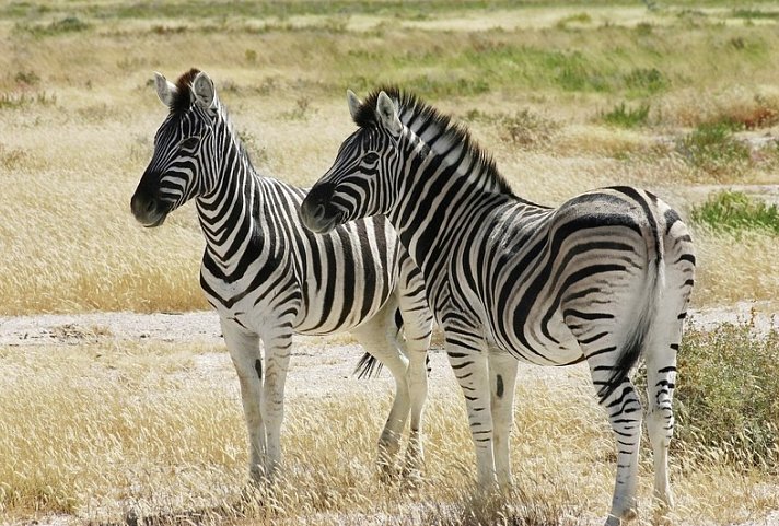 Namibia Classic für Selbstfahrer