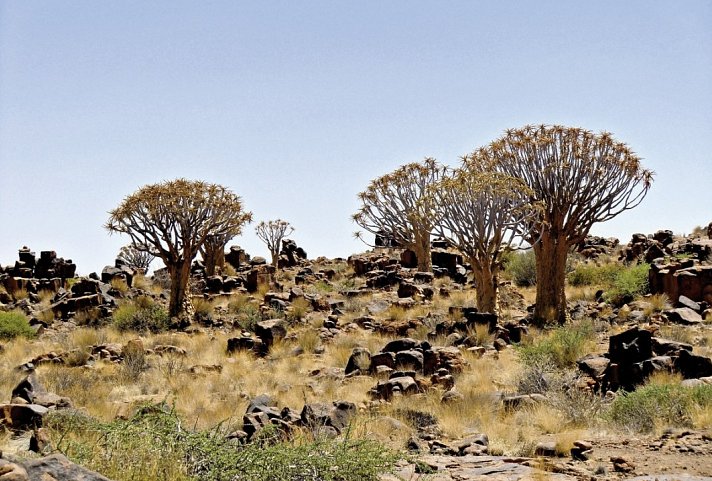 Go4Namibia - Erlebnisreise für die ganze Familie - Südtour