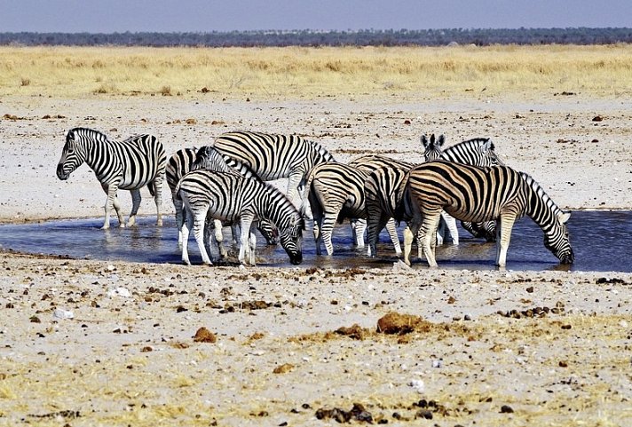 Go4Namibia - Erlebnisreise für die ganze Familie - Nordtour