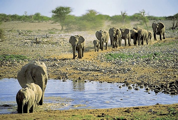 Go4Namibia - Erlebnisreise für die ganze Familie - Nordtour