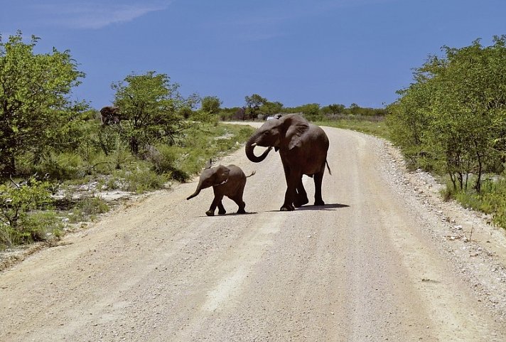 Go4Namibia - Erlebnisreise für die ganze Familie - Nordtour