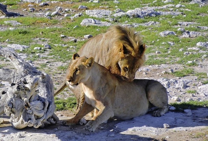 Go4Namibia - Erlebnisreise für die ganze Familie - Nordtour