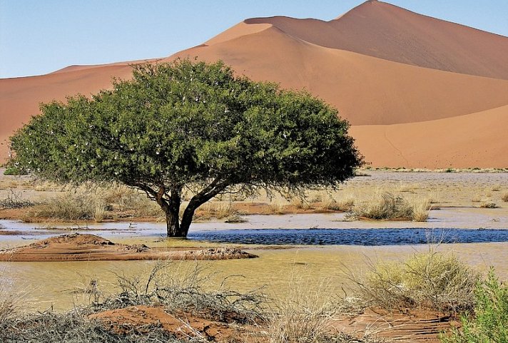 Go4Namibia - Erlebnisreise für die ganze Familie