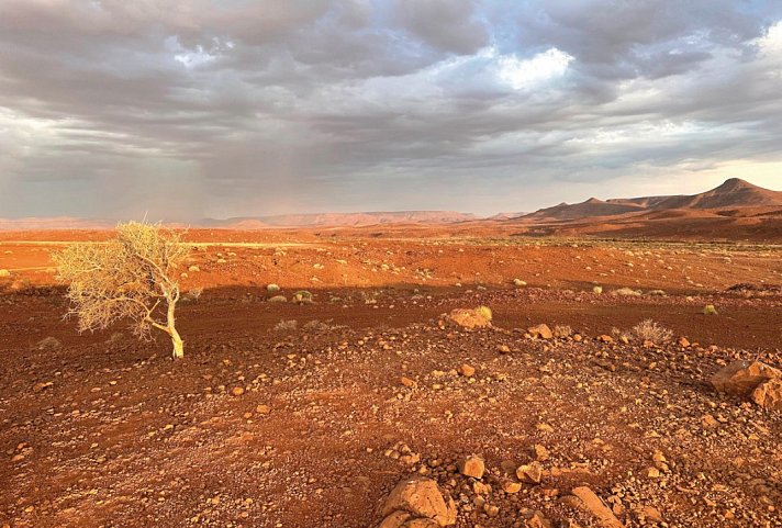 Traumreise Namibia