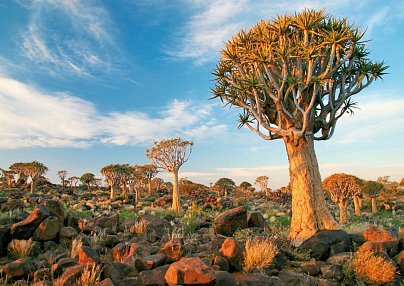 Best of Namibia Standard Windhoek