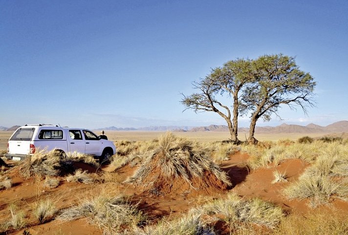 Namibia Entdeckungstour (nördliche Richtung)