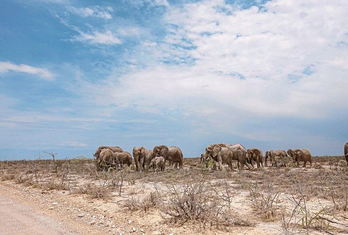 Namibia Entdeckungstour (nördliche Richtung)