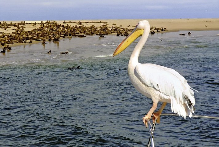 Best of Namibia Superior