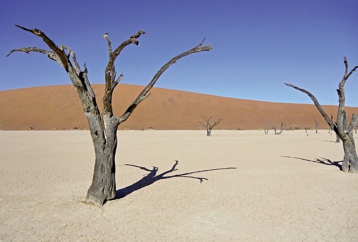 Best of Namibia Superior