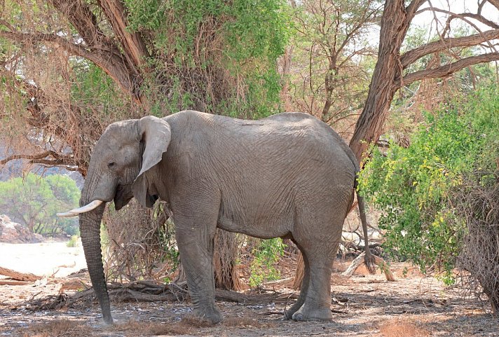 Namibia Entdeckungstour (südliche Richtung)