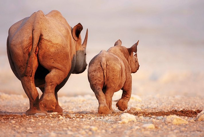 Namibia zum Verweilen