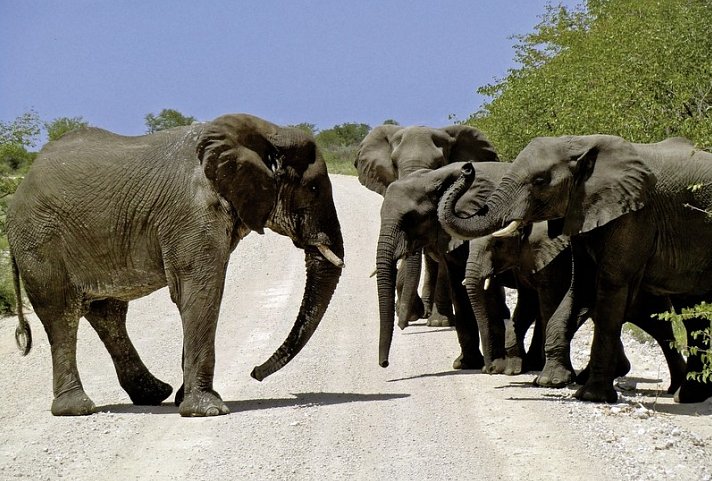 Namibia zum Verweilen