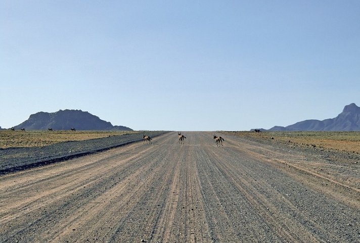 Zuhause in Namibia