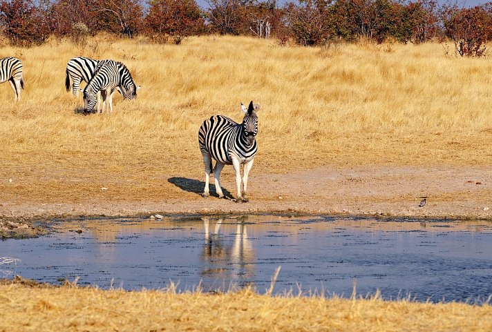 Zuhause in Namibia