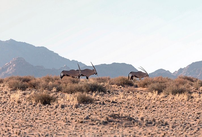 Zuhause in Namibia