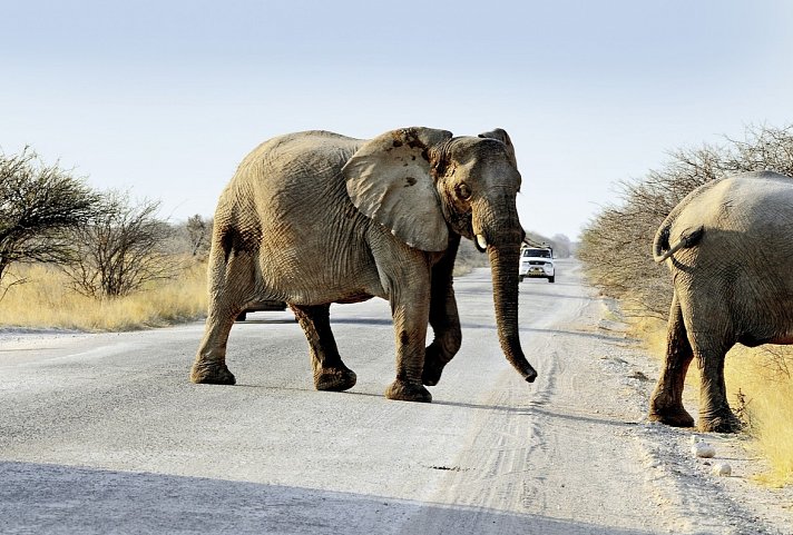 Das ist Namibia!