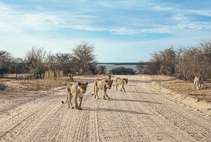 Namibia mit Kinderaugen