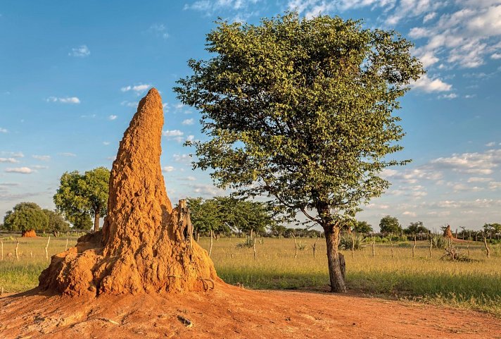 Namibia mit Kinderaugen