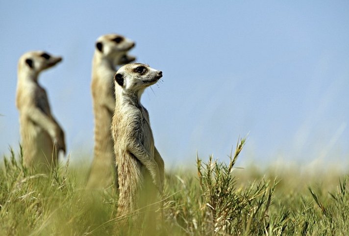 Namibia mit Kinderaugen