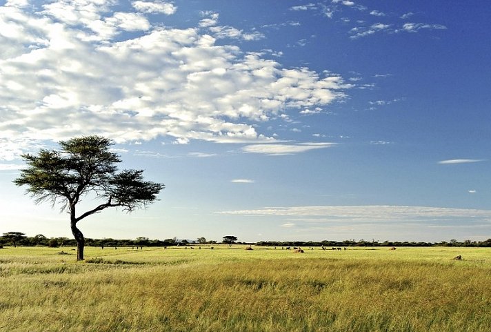 Namibia mit Kinderaugen