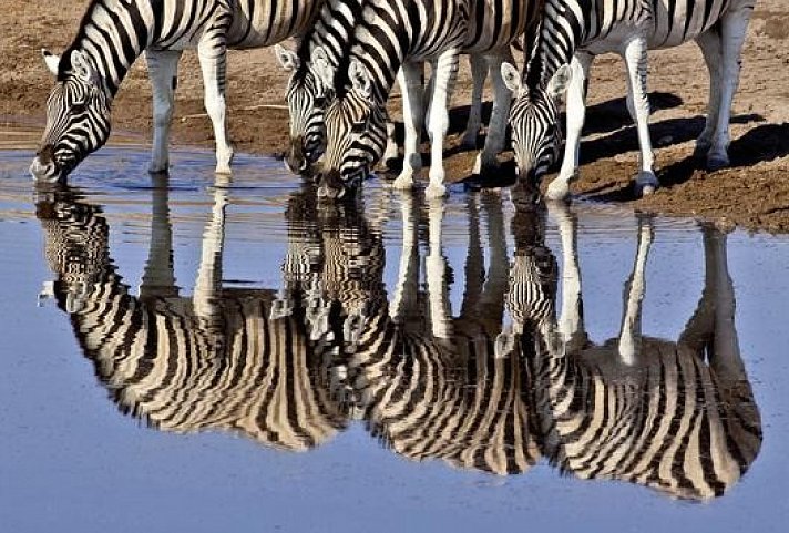 Namibia & Botswana auf eigene Faust