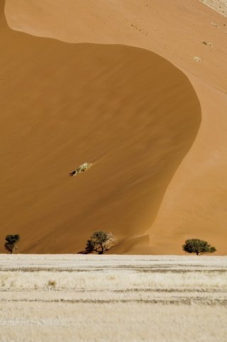 Namibias Nationalparks