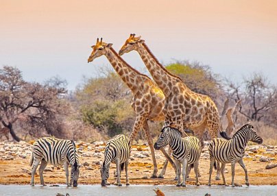 Namibia für Einsteiger Windhoek