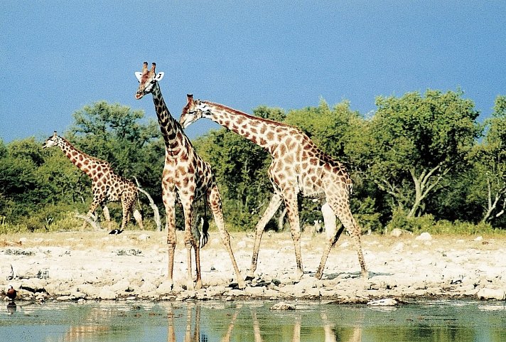 Lebens(t)raum Namibia