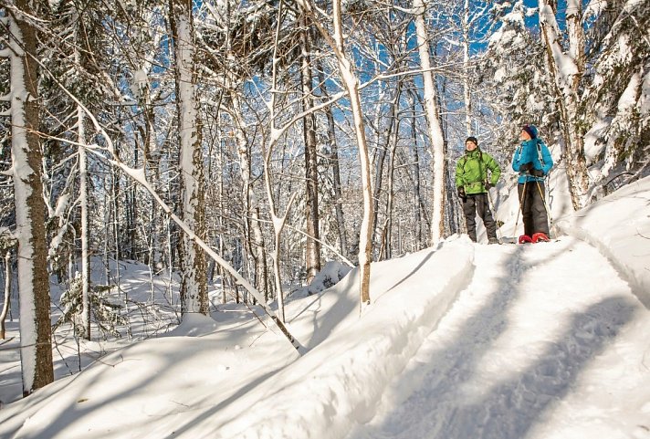 Québec Winter Wonderland
