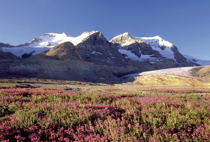 Westkanadas Highlights erwandern